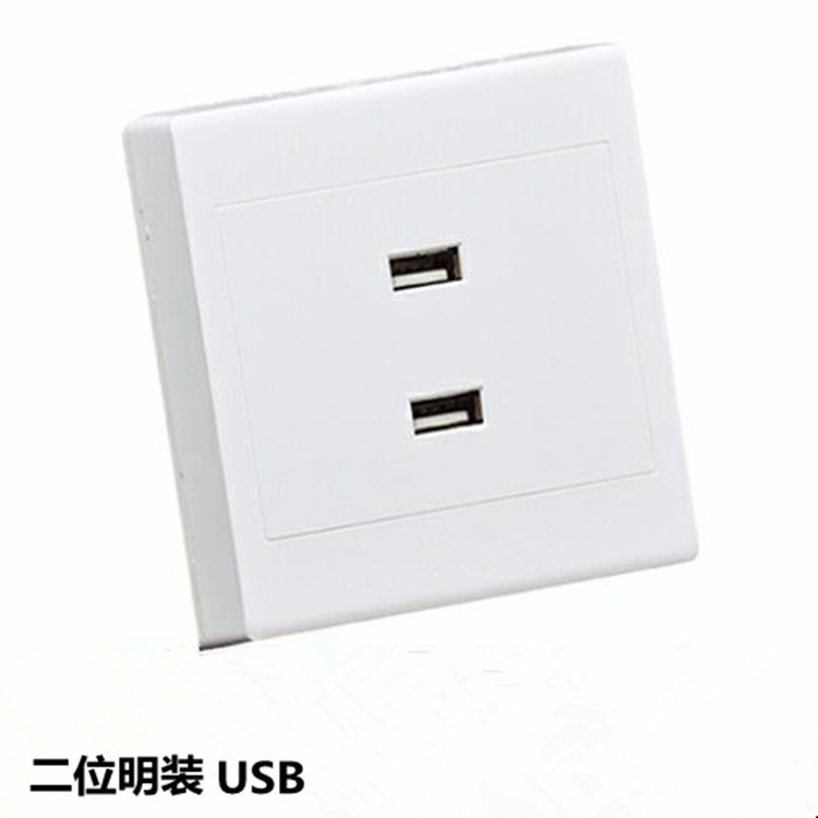 厂家直销86型墙壁开关插座 二位USb插座2.1A快速手机充电面板批发|ru