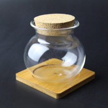 微景观生态瓶 玻璃瓶 制作容器 苔藓DIY玻璃瓶 带灯木塞圆底瓶