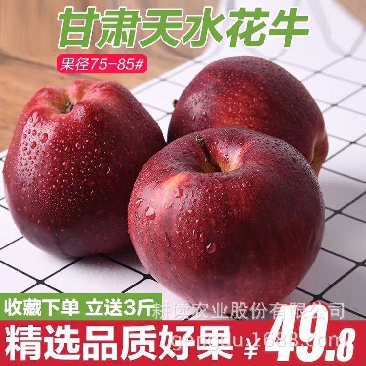 天水花牛苹果 新鲜水果8斤蛇果 甘肃礼县粉面苹果批发包邮|ru