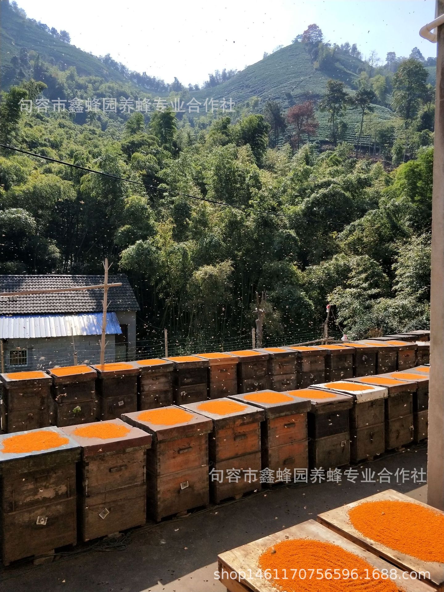 QQ图片20181102213152