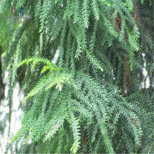 �²���ľ��N����ɼ�N�Ӱ���ɼ�[�~����ɼ��������ɼ