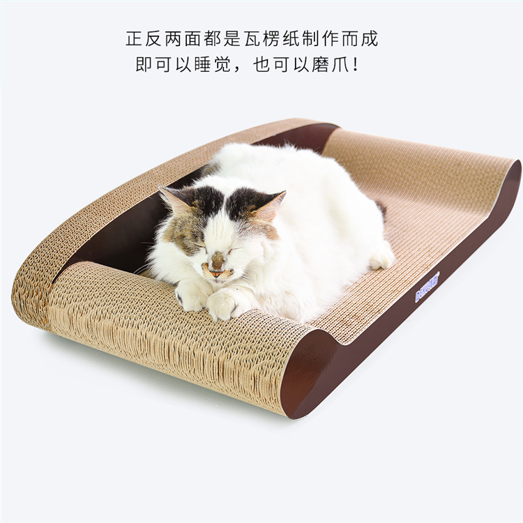 详情10