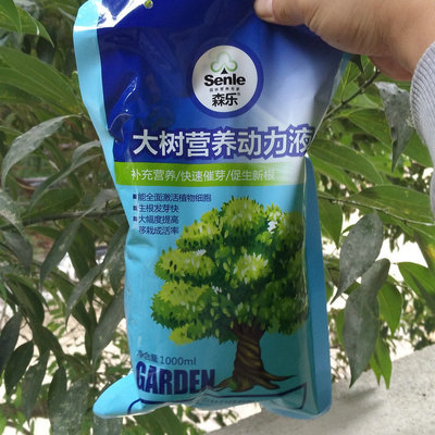 Mori Le Big tree Transplanting Nutrient solution City Garden Conserve Supplies Promote root seedlings