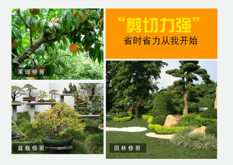 9249119821_1451386638_副本