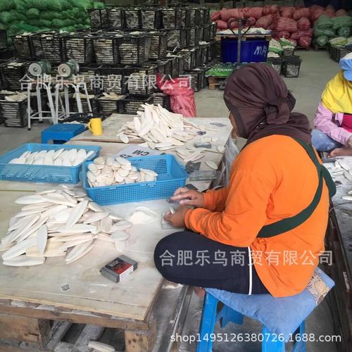 Parrot Calcium Inkfish Bone Chewing String Toys, Parrot Calcium Grinding String