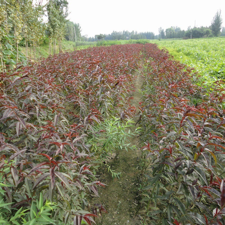 1078145786_949667753