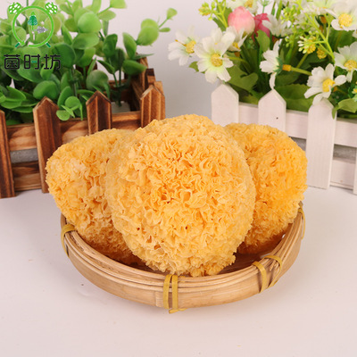 Bacterial time shop 500g Ugly is not Tremella Furuta Fungus Ugly ears dried food close together specialty wholesale