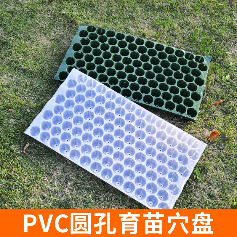 PVC育苗盘蔬菜西瓜辣椒番茄花生育苗盘穴盘透明瓜果育苗盘批发