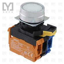 A22NL-MNM-TWA-G102-WC�����o�_�P��PUSH DPST-NO/NC 10A 120V