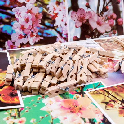 3,5 см милый цвет дерева маленький зажим DIY аксессуары ручной работы декоративная заметка сообщение закуска цвет фото клип