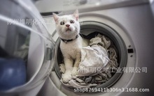  ӡȾ ȾϹɫϴScotol NJ-40