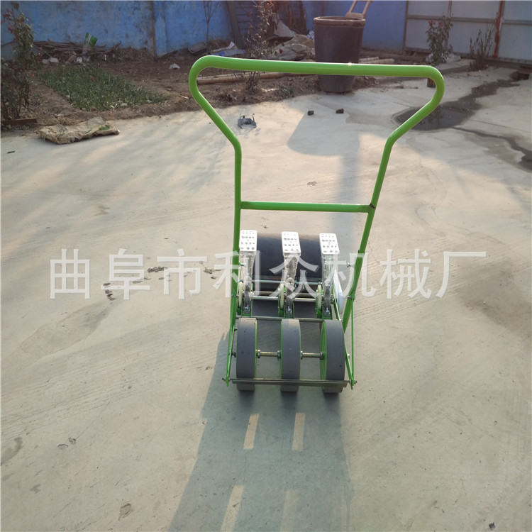 郊区多行菜籽育苗机 多行菜心播种机