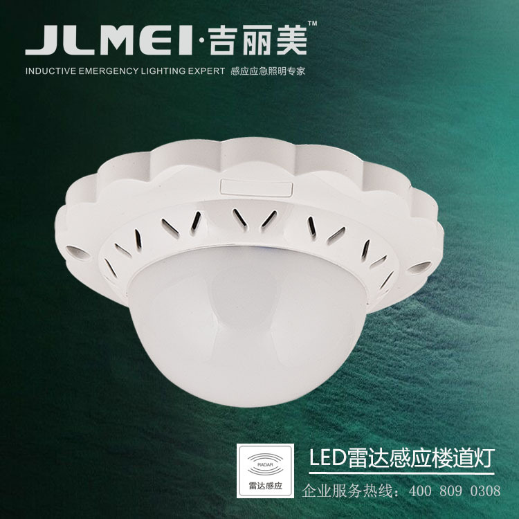 一款节能王感应楼道灯LED吸顶灯人体感应灯过道走廊灯楼梯玄关