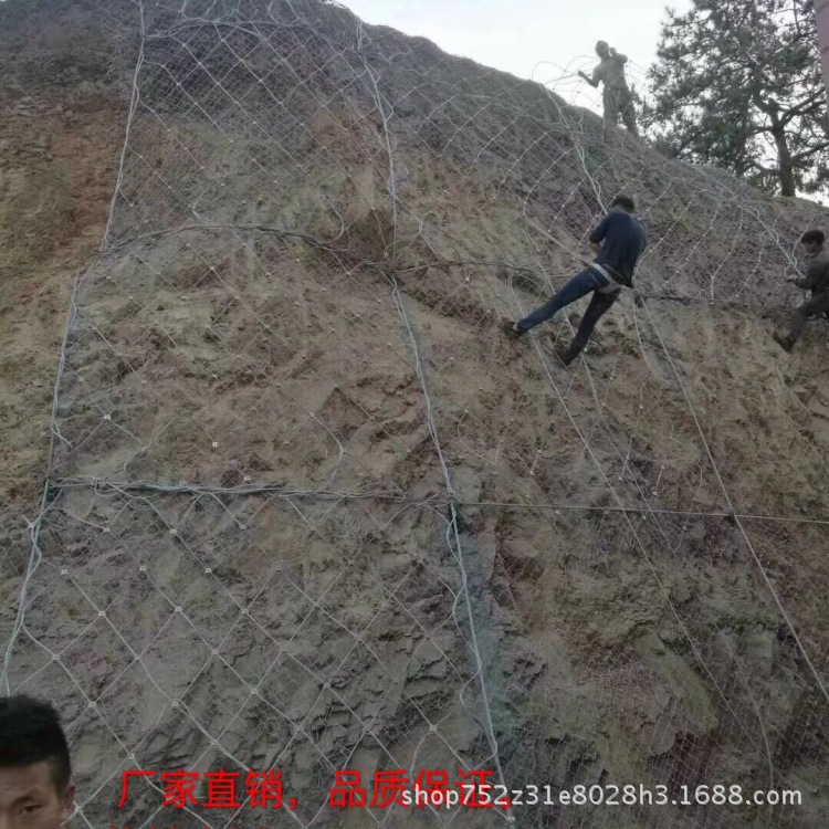 供应 SNS柔性防护网 主动边坡防护网 公园钢丝绳网 专业生产厂家