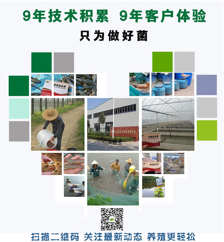 启富厂家联系方式