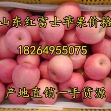 黑龙江冰糖心红富士苹果基地价格辽宁吉林红富士苹果批发基地价格