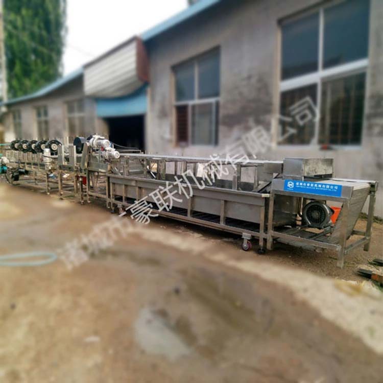 供应韭菜清洗风干线||果蔬清洗风干设备||质优价廉