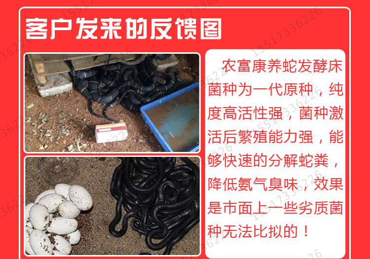 发酵床养蛇有哪些好处