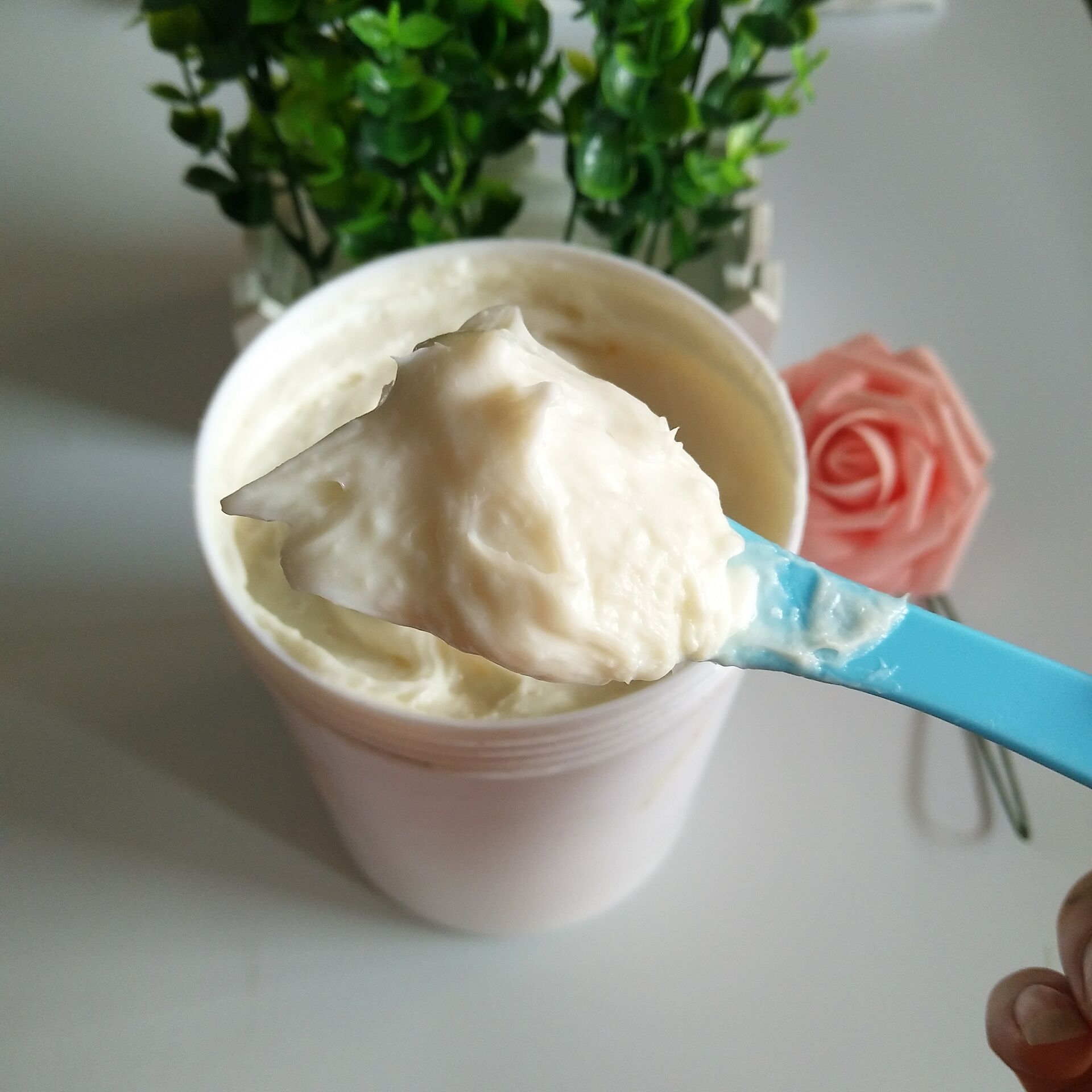 9310804068_1691536063 (1)