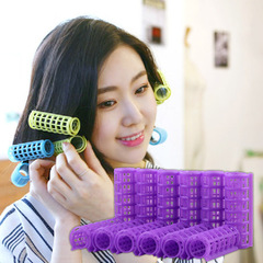 DIY Plastic Double-Layer Hair Rollers from Manufacturer—12-Pack for Bangs and Curls