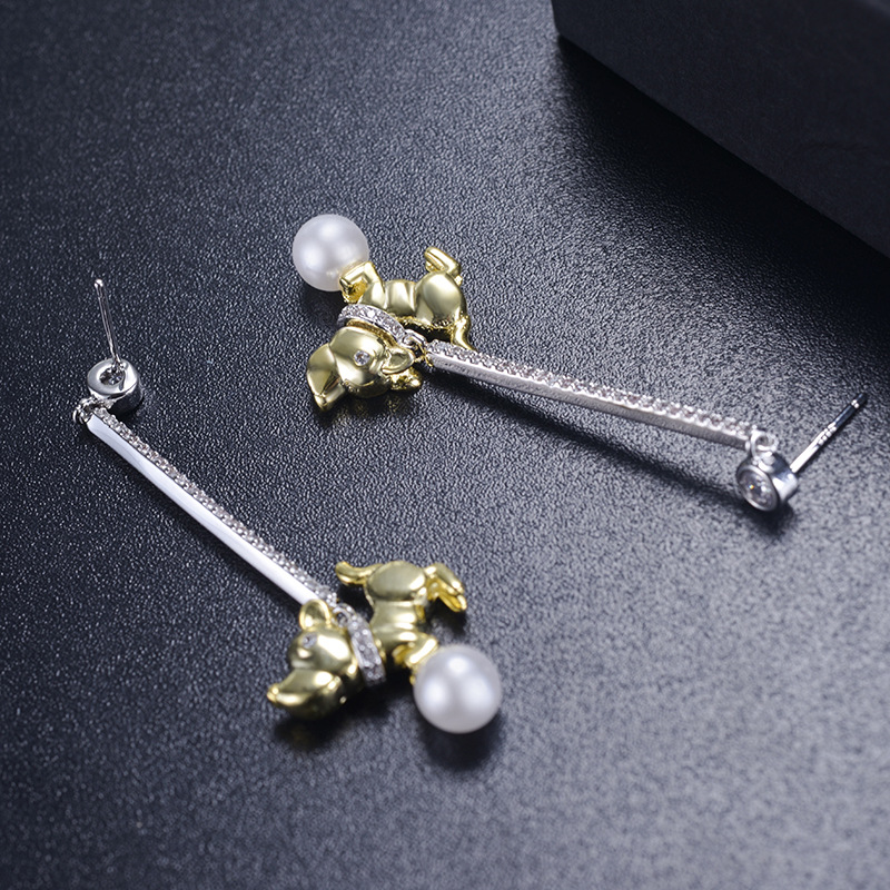 2018�����¿���곤��С�������׹����Ů����ʱ�����ж�������