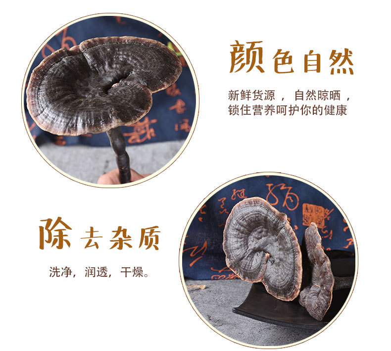Black Reishi Mushroom (Ganoderma sinense) — Dried Whole Herb for Wine Infusion & Soup key features