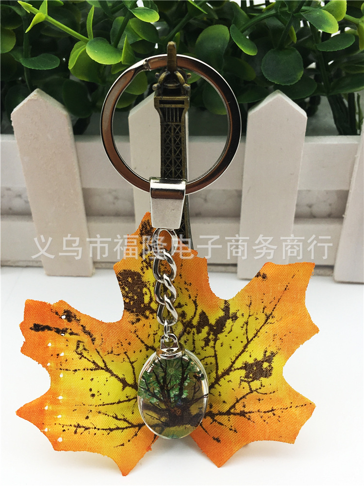 样品