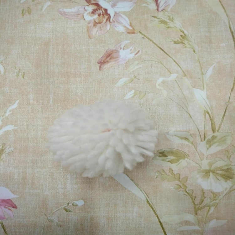 mmexport1529124922278