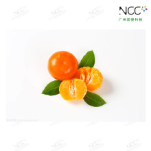 ���չ���ӡˢ������ζ��ī ������ζ�Ϲ��ͣ�����ˮ��������ī