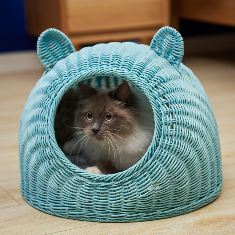 Голубая кошка ухо