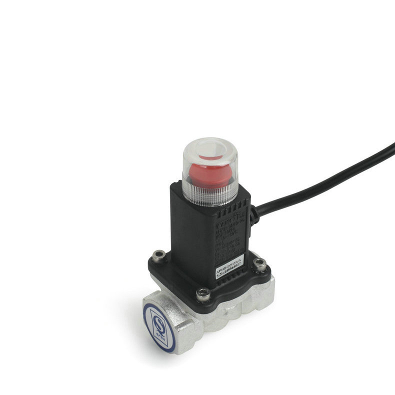 长期提供 燃气管道泄漏检测仪 燃气探测器 质优价廉|ru