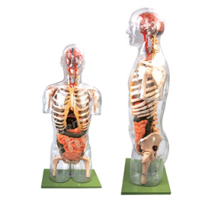 SKY/A209͸�������|�ɸ����Kģ�� ���w����ģ���|�ɽ���ģ��