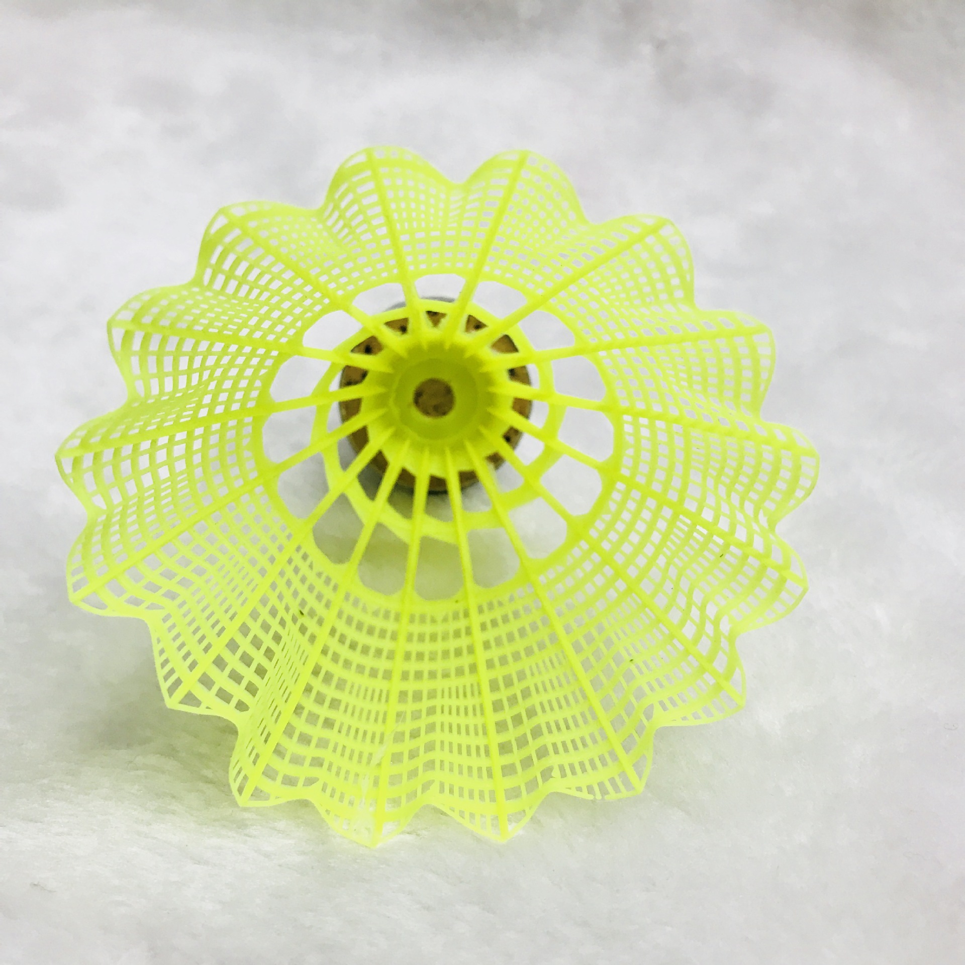 IMG_3095(20180305-110513)