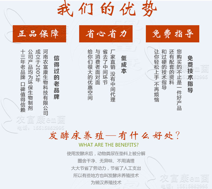 鸡用发酵床菌种