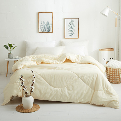 亞馬遜 爆款大豆纖維被全棉秋冬被學生被芯被子被褥加厚保暖冬被