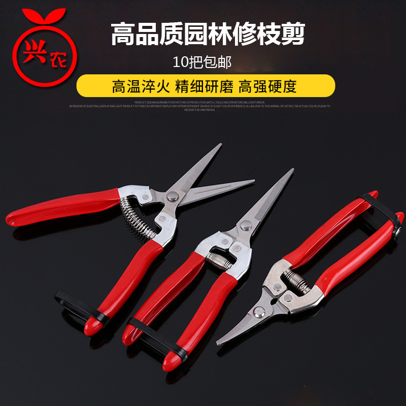 葡萄修枝剪园艺采果芽剪刀柑橘子修花稀果摘果剪水果蔬菜疏果剪
