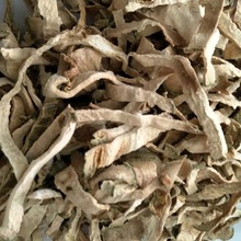 ���ֽz �вķ��ֹ� ��؛���l �S��ֱ�N