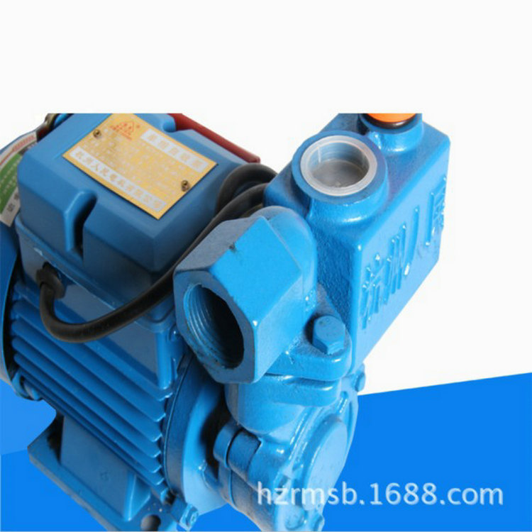 厂家供应 人民水泵WZB-1.1kw单相高压自吸泵 家用增压泵 太阳能泵