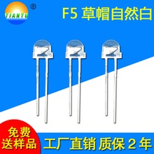 深圳厂家生产f5草帽灯白光暖白光源5mm草帽直插低光衰灯珠