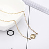 Accessory, sophisticated metal necklace, European style, simple and elegant design