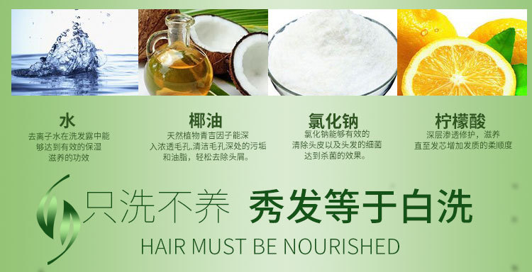 植物叶子详情页1_07