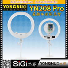 YONGNUOZYN208PROhazӰֱ wpɫ