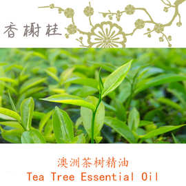 澳洲茶树精油 Tea tree  纸皮树、 互叶白千层单方精油10ML起