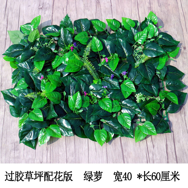 过胶草坪配花版 绿萝