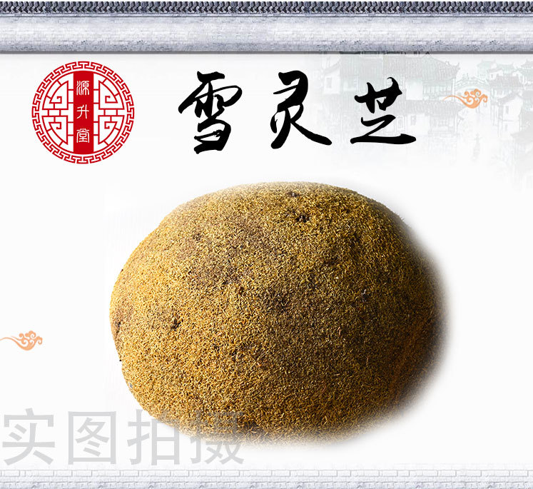 Xue Ling Zhi (Arenaria kansuensis) — Tibetan Snow Ginseng Herb, Sulfur-Free Dried Whole Herb overview