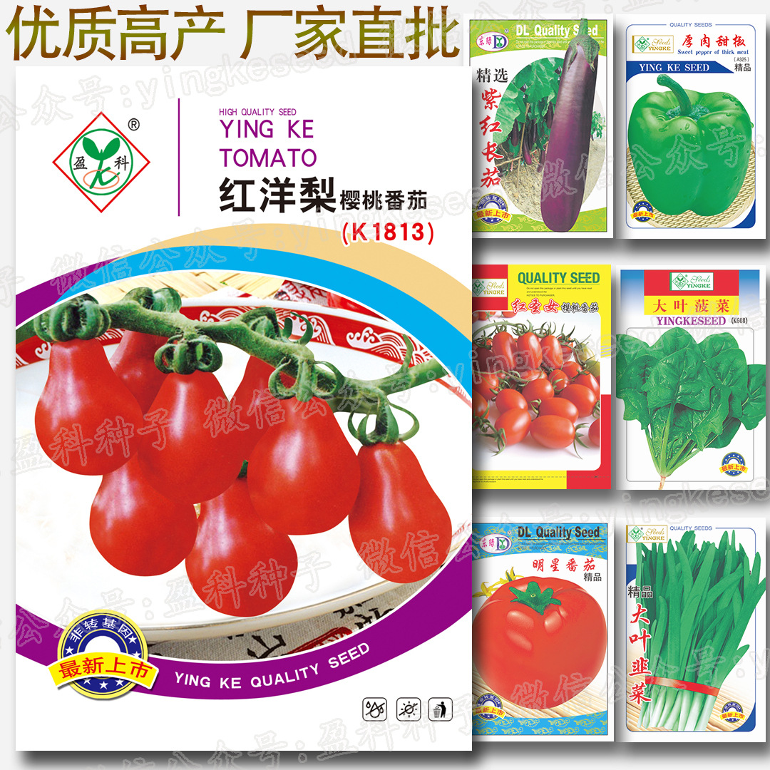 红洋梨番茄种子 樱桃番茄种子 红洋梨小番茄种子 圣女番茄种子