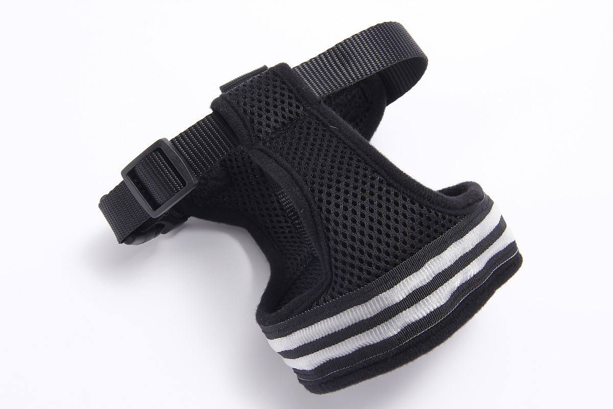 双光纤发光胸背带1200 (5).jpg