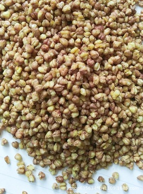 苦荞茶批发 散装苦荞茶 瓶装苦荞茶 罐装苦荞茶 OEM一件代发