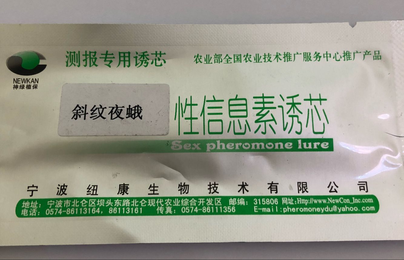 测报专用斜纹夜蛾诱芯