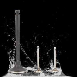 气门及部件;压缩弹簧;螺栓